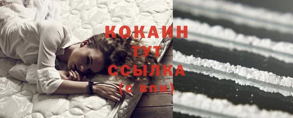 сатива Балахна