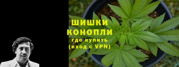 сатива Балахна
