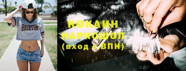 сатива Балахна