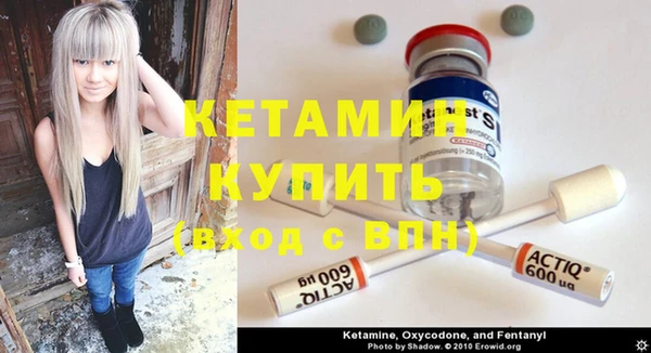 сатива Балахна