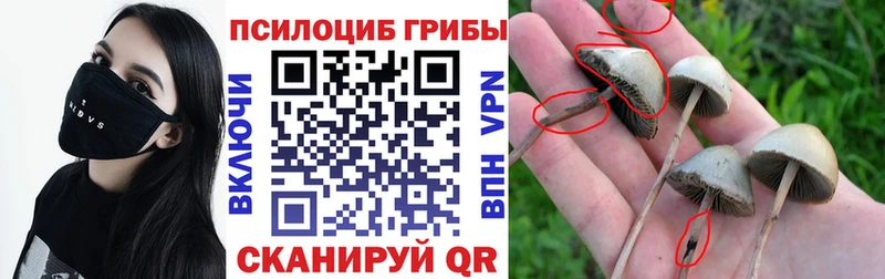 Псилоцибиновые грибы мицелий  Кулебаки 